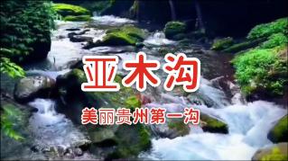 暖阳下的女孩们